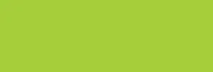 MONTANA : BLACK : WILD LIME