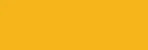 MONTANA : BLACK : YELLOW