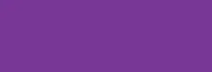 MONTANA : BLACK : PURPLE RAIN