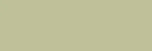 MONTANA : BLACK : BEETLE