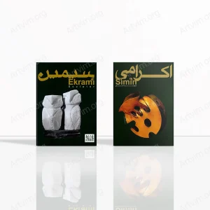 سیمین اکرامی: مجسمه‌ساز
