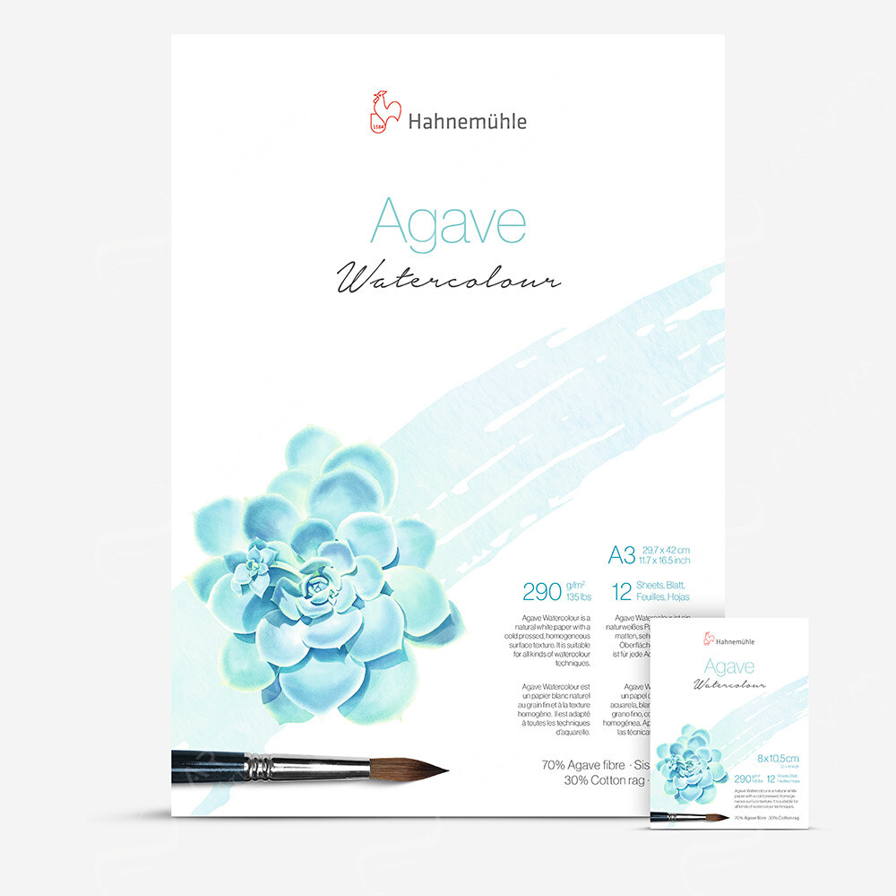 Hahnemuehle : Agave : Watercolour Block