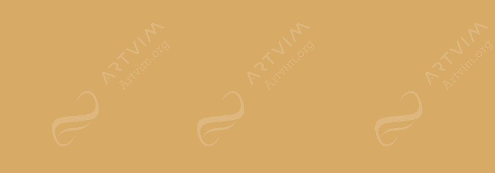 COPIC : CIAO MARKER LIONET GOLD