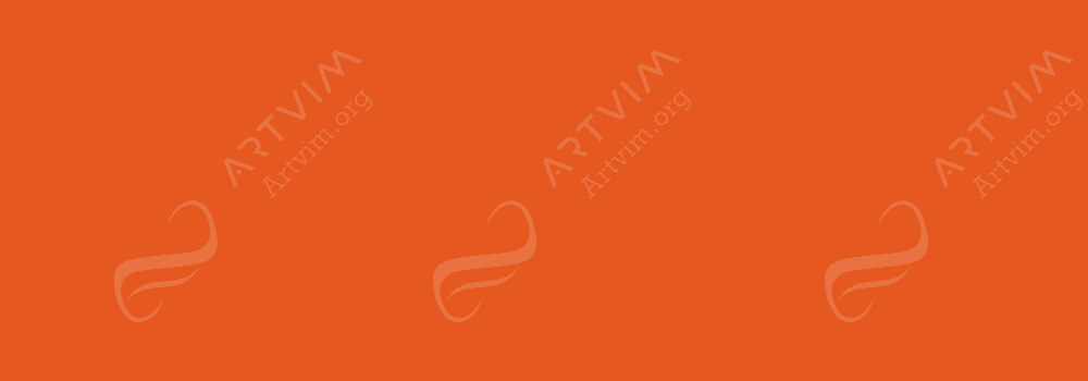 BRUYNZEEL : DESIGN COLOUR PENCILS ORANGE