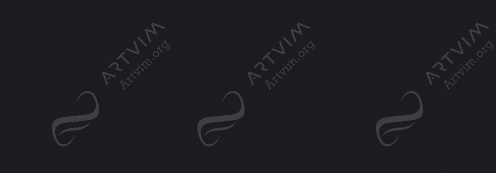 CARAN D'ACHE : FIBRALO WATERSOLUBLE BRUSH PENS BLACK