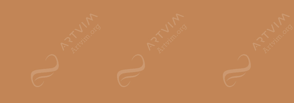 COPIC : CIAO MARKER LIGHT WALNUT