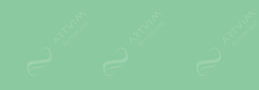 COPIC : CIAO MARKER PEA GREEN