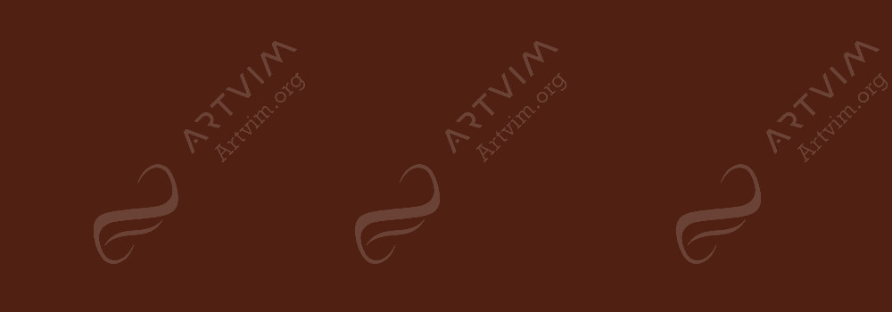 VALLEJO : PREMIUM AIRBRUSH PAINT SEPIA