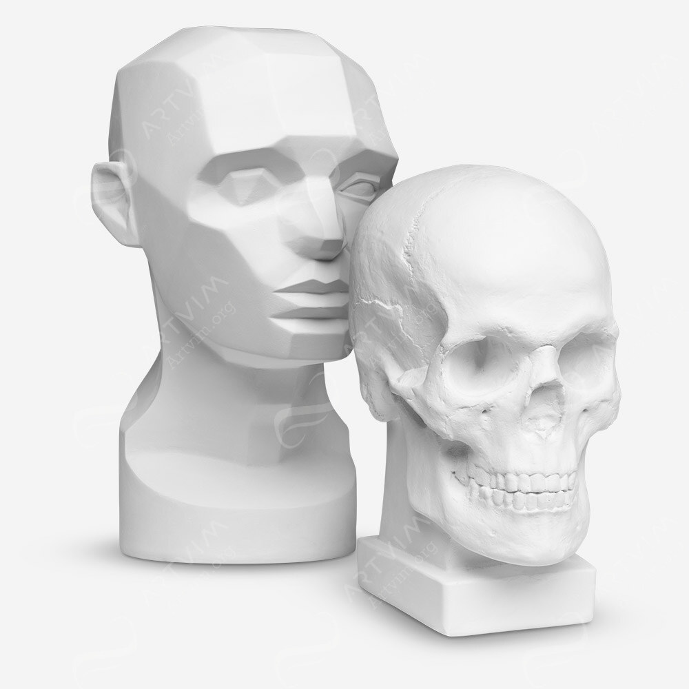 Plaster Cast : Figures & Models