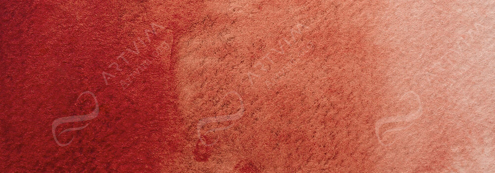 HOLBEIN : ARTISTS' WATERCOLOUR PAINT PERYLENE MAROON