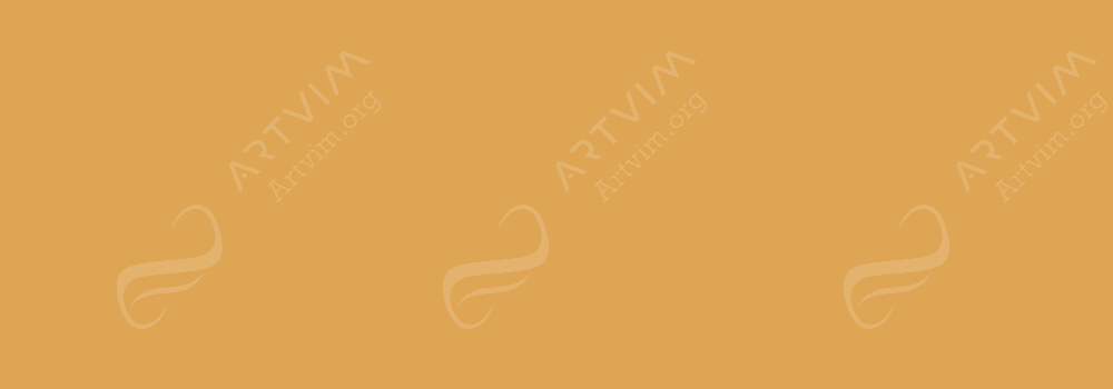 VALLEJO : PREMIUM AIRBRUSH PAINT METALLIC GOLD