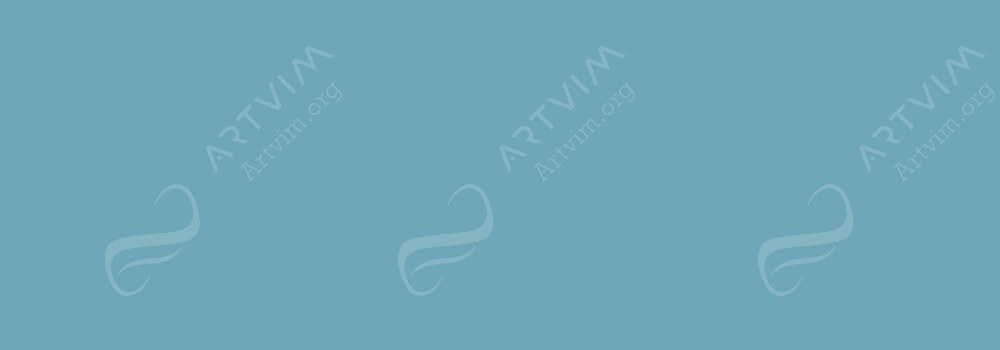 CARAN D'ACHE : PABLO PENCILS STEEL GREY 004