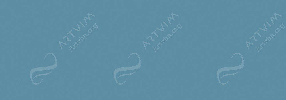 CARAN D'ACHE : FIBRALO WATERSOLUBLE BRUSH PENS PAYNE'S GREY