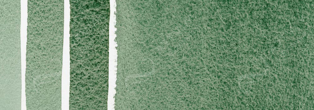 DANIEL SMITH : EXTRA FINE WATERCOLOUR PAINT TERRE VERTE