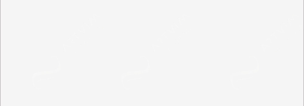 FABER-CASTELL : ALBRECHT DÜRER WATERCOLOUR PENCILS WHITE