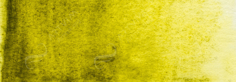 DERWENT : GRAPHITINT PENCIL MEADOW