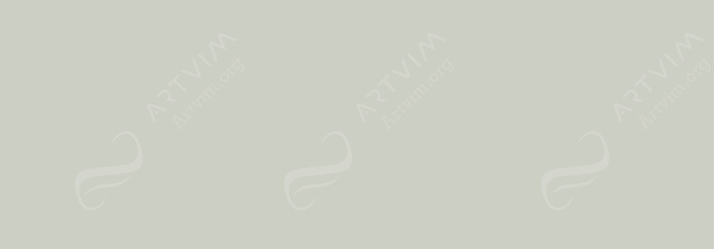 CARAN D'ACHE : PABLO PENCILS ASH GRAY 401