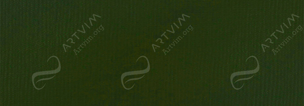 LIQUITEX : PROFESSIONAL HEAVY BODY ACRYLIC PAINT PERMANENT SAP GREEN