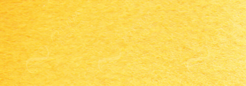 ISARO : WATERCOLOUR PAINT SAFFRON YELLOW