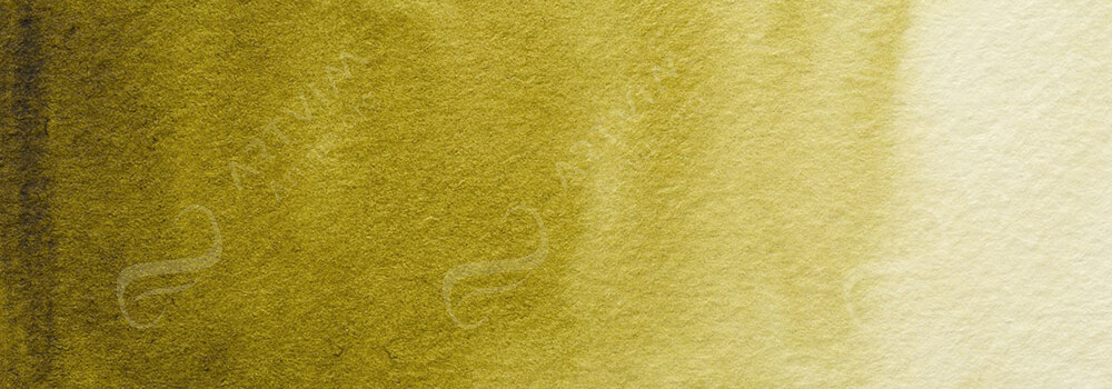 HOLBEIN : ARTISTS' WATERCOLOUR PAINT OLIVE GREEN