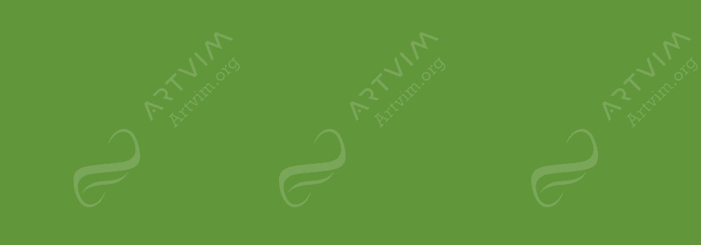 HOLBEIN : ARTISTS' COLOURED PENCIL EVERGREEN