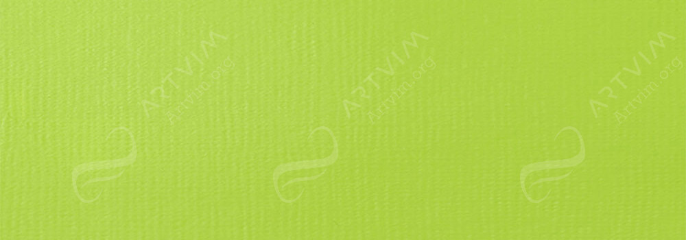 LIQUITEX : PROFESSIONAL HEAVY BODY ACRYLIC PAINT BRILLIANT YELLOW GREEN