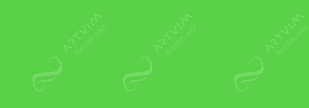 CARAN D'ACHE : NEOCOLOR II ARTISTS' WATERCOLOUR CRAYONS BRIGHT GREE