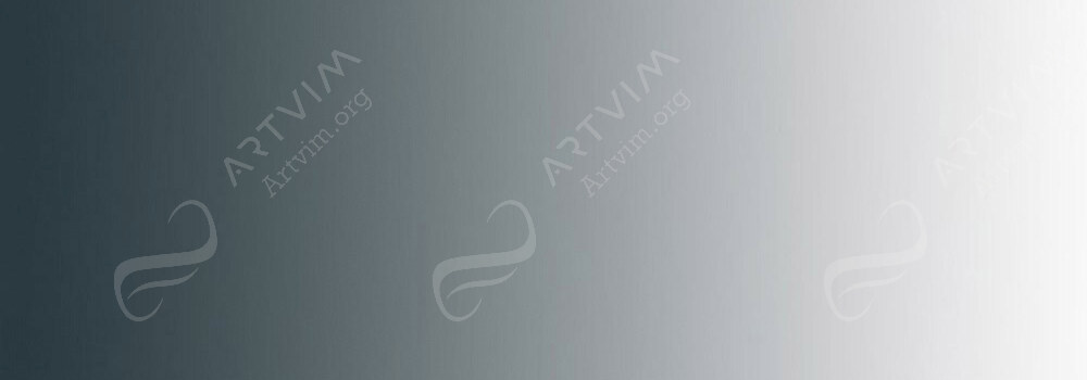 DERWENT : INKTENSE PENCIL CHINESE INK