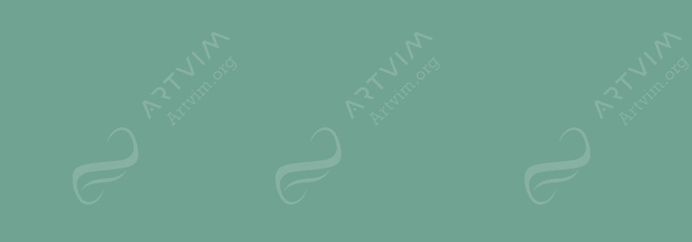 COPIC : CIAO MARKER BUSH