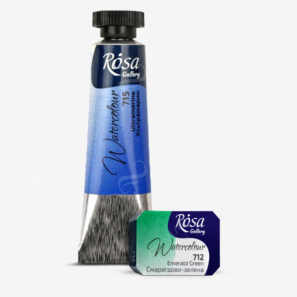 Rosa : Watercolour Paint