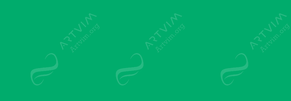 CARAN D'ACHE : SUPRACOLOR SOFT WATERSOLUBLE ARTIST'S PENCILS VERONESE GREEN