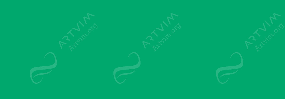 CARAN D'ACHE : SUPRACOLOR SOFT WATERSOLUBLE ARTIST'S PENCILS EMPIRE GREEN