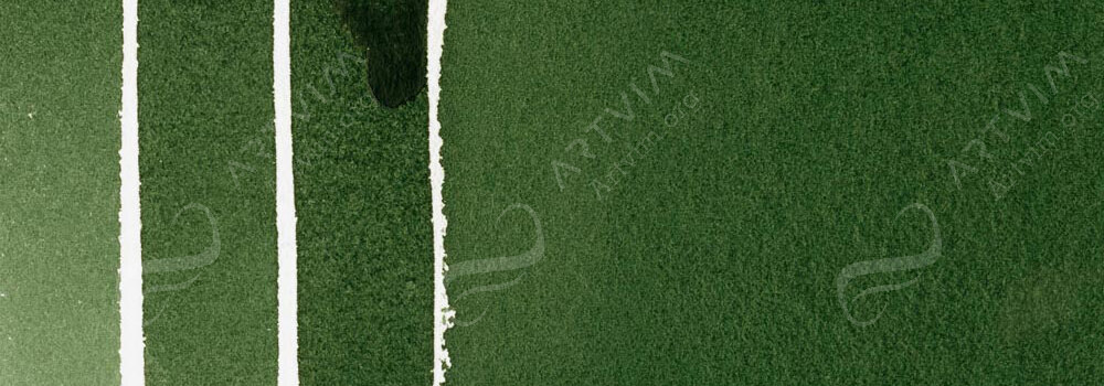 DANIEL SMITH : EXTRA FINE WATERCOLOUR PAINT SAP GREEN DEEP