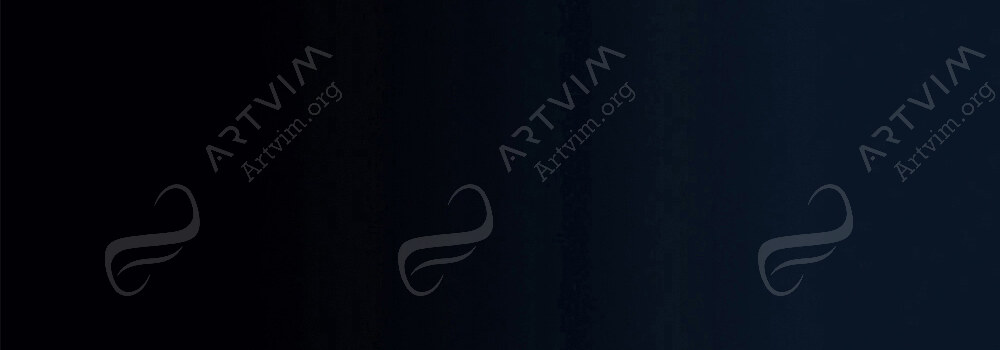 JACKSON'S : ALCOHOL INK JET BLACK