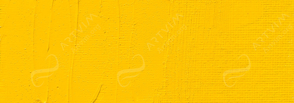 ART SPECTRUM : ARTISTS' OIL PAINT CADMIUM YELLOW
