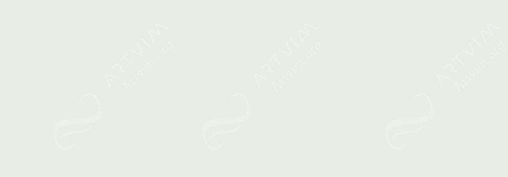 DALER ROWNEY : FW ACRYLIC INK WHITE