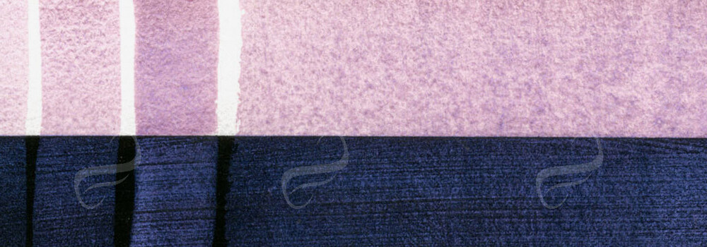 DANIEL SMITH : EXTRA FINE WATERCOLOUR PAINT DUOCHROME CACTUS FLOWER