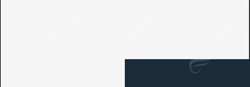 LEFRANC BOURGEOIS : FLASHE VINYL EMULSION PAINT FLUORESCENT WHITE