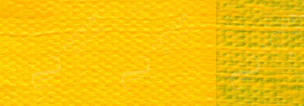 GOLDEN : HEAVY BODY ACRYLIC PAINT C.P. CADMIUM YELLOW DARK