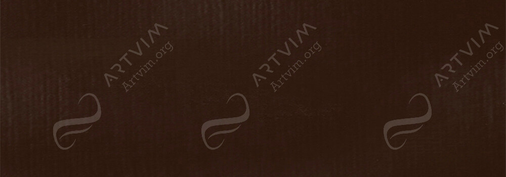 LIQUITEX : PROFESSIONAL HEAVY BODY ACRYLIC PAINT TRANSPARENT BURNT UMBER