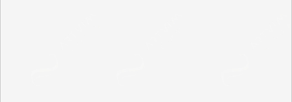 CARAN D'ACHE : SUPRACOLOR SOFT WATERSOLUBLE ARTIST'S PENCILS WHITE