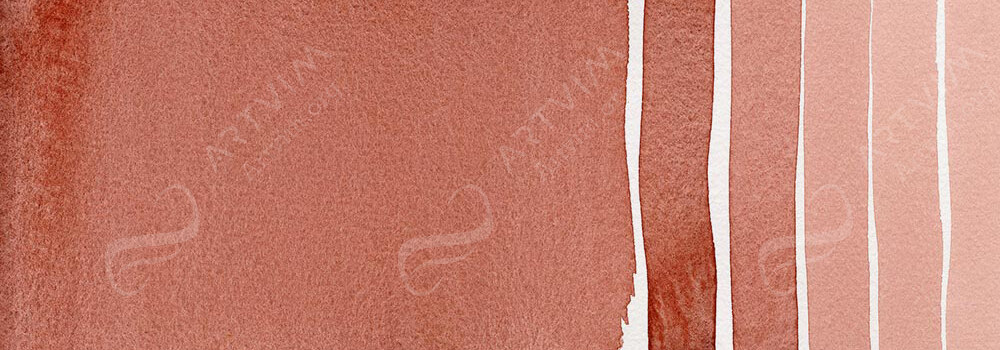 DANIEL SMITH : EXTRA FINE WATERCOLOUR PAINT RED JASPER GENUINE