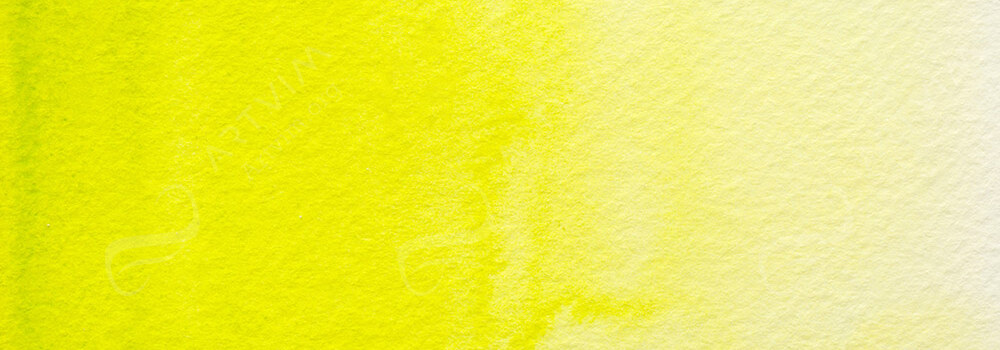 HOLBEIN : ARTISTS' WATERCOLOUR PAINT LEAF GREEN