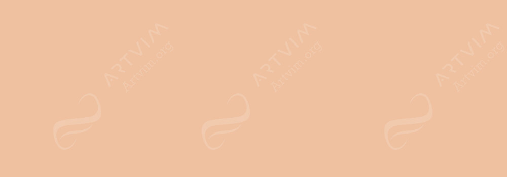 COPIC : CIAO MARKER CHAMOIS