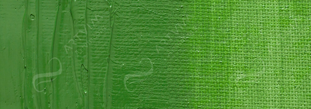 JACKSON'S : ARTIST OIL PAINT GREEN LIGHT