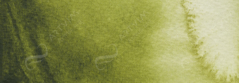 JACKSON'S : ARTIST WATERCOLOUR PAINT OLIVE GREEN