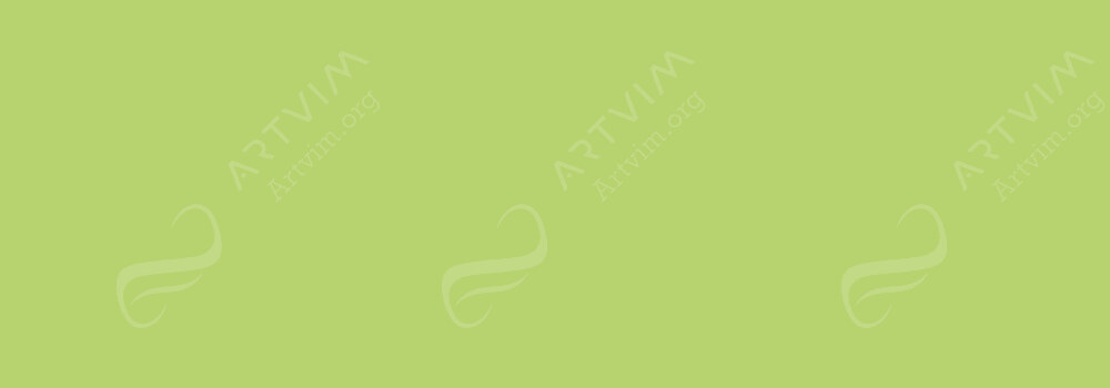 DALER ROWNEY : FW ACRYLIC INK LIGHT GREEN