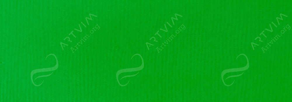 LIQUITEX : PROFESSIONAL SOFT BODY ACRYLIC PAINT FLUORESCENT GREEN