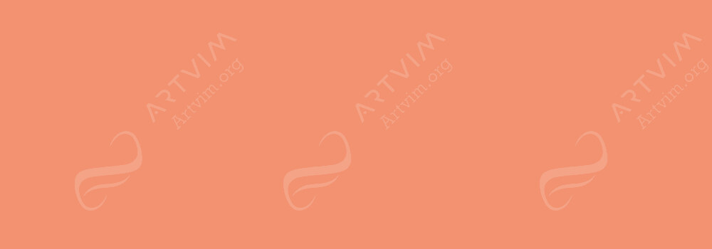 CARAN D'ACHE : CLASSIC NEOCOLOR I SALMON