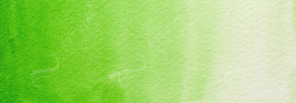 HOLBEIN : ARTISTS' WATERCOLOUR PAINT PERMANENT GREEN #1